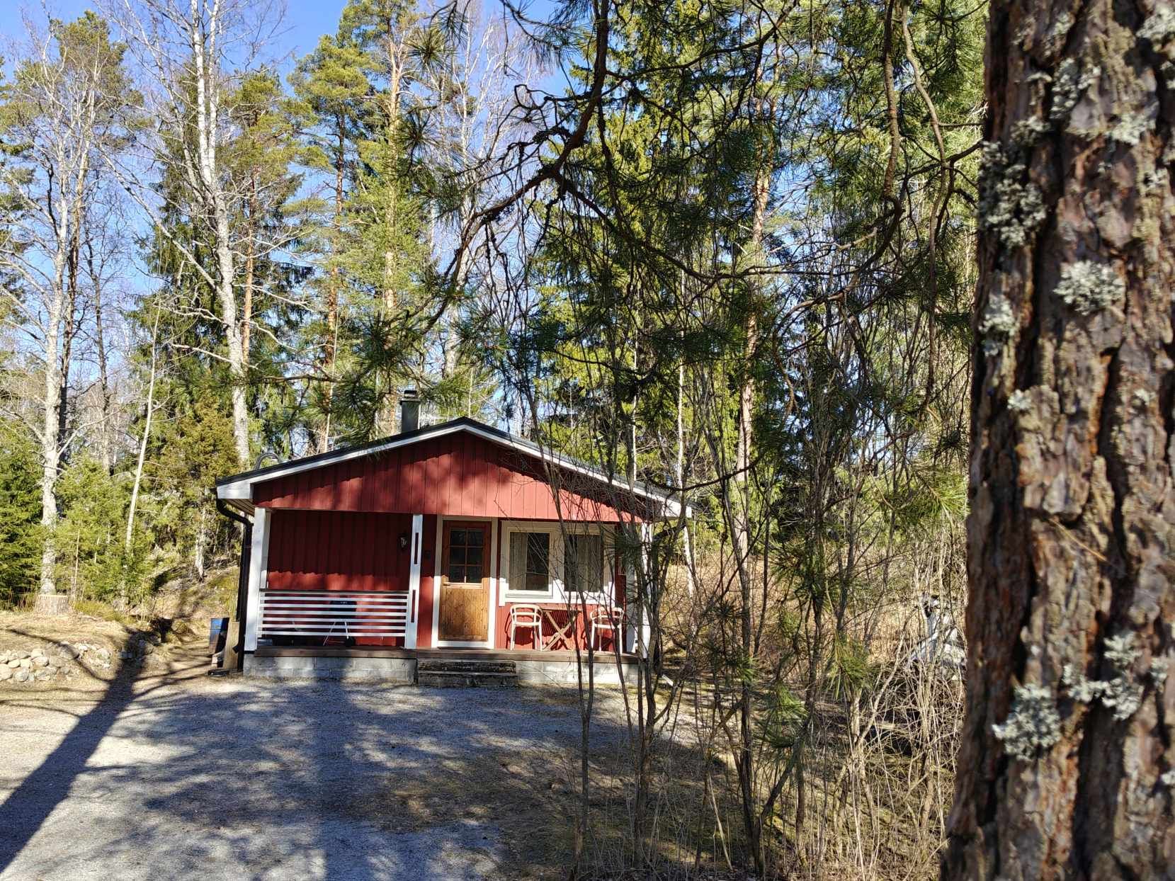 Koivumäki metsästä